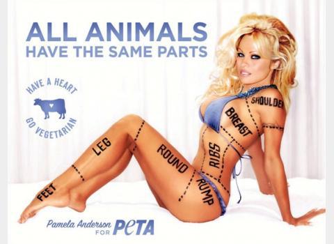 Pamela Anderson voor Peta